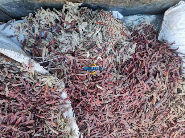 案例|某公司海關(guān)產(chǎn)品銷毀 案例|某公司海關(guān)產(chǎn)品銷毀